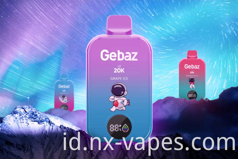 Gebaz 20000 11